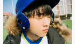 娱乐圈爆料任嘉伦鹿晗视频,娱乐圈风云再起